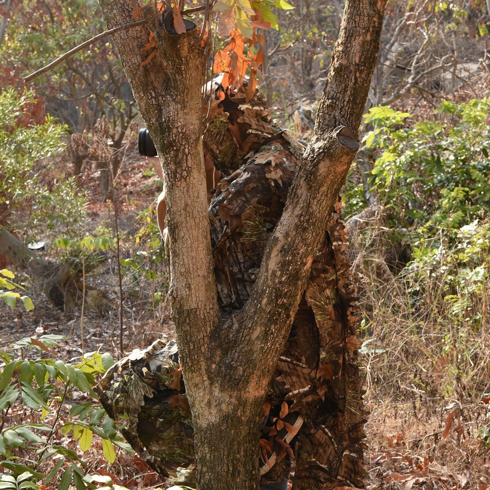 Wildking Jagd-Camouflage Big-Tree Bionic Tarnumhang – Anzug 2.0